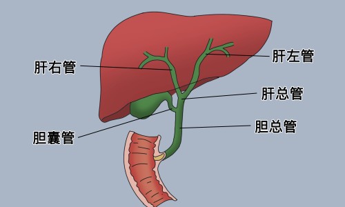 胃不好的人什么水果不能吃-胃不好的人宜吃那种水果网- 胃不好的人吃人什么水果最养胃知识,分享胃不好的人少吃三种水果